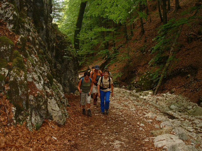 jura0004