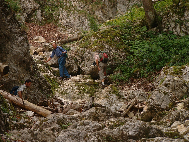 jura0006