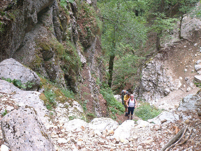 jura0009