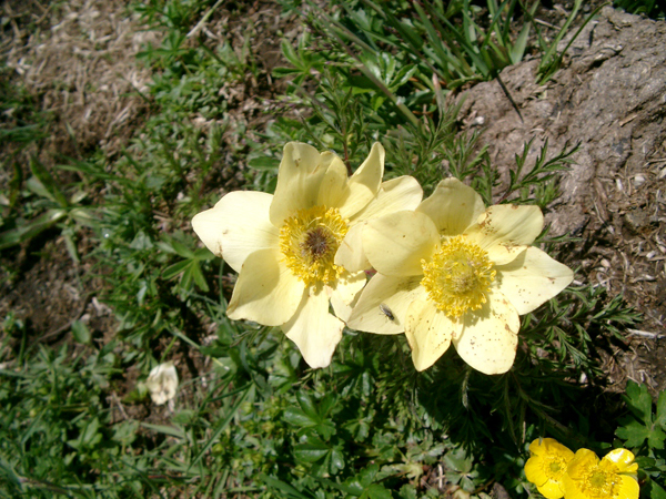 040