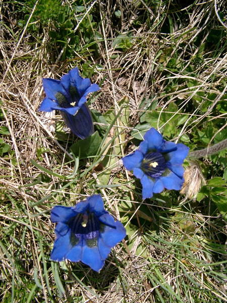 046