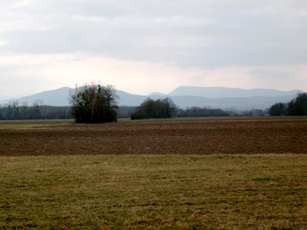 IMGP0012