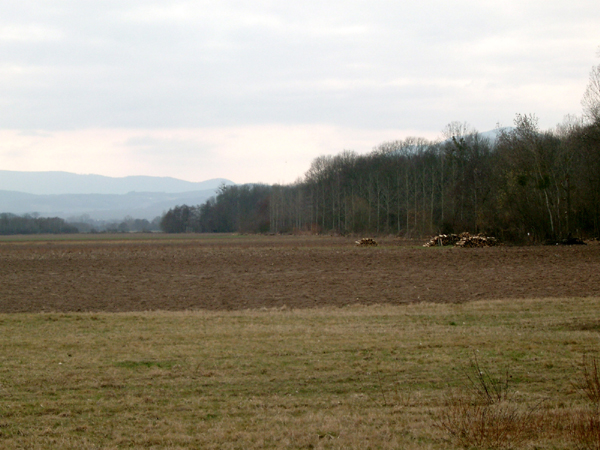 IMGP0013