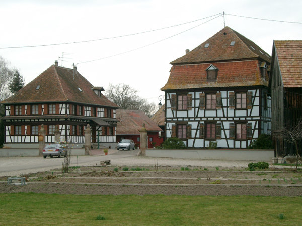 IMGP0020