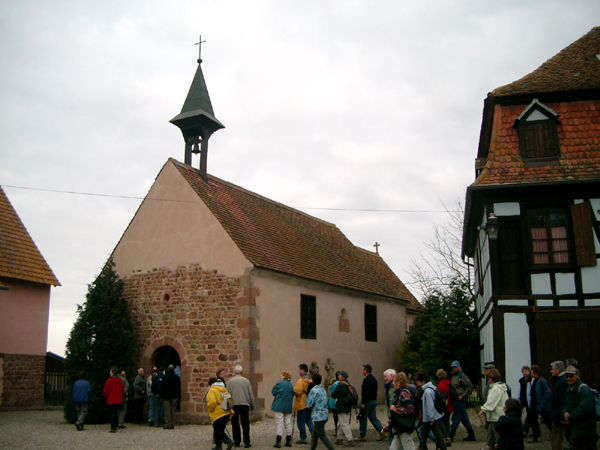 IMGP0031