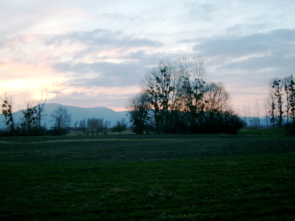 IMGP0044