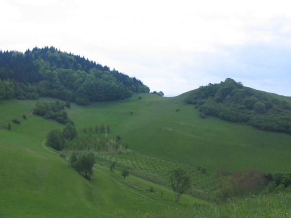 oberbergen 015