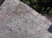 chatte pendue juillet 003