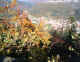 Dabo 8.jpg (155233 octets)