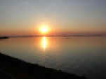 Lac du Der .couche soleil.jpg (69294 octets)