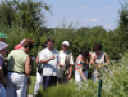 Lac du Der . jardin.jpg (141236 octets)