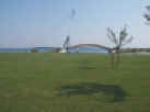 Lac du Der . passerelle.jpg (74132 octets)