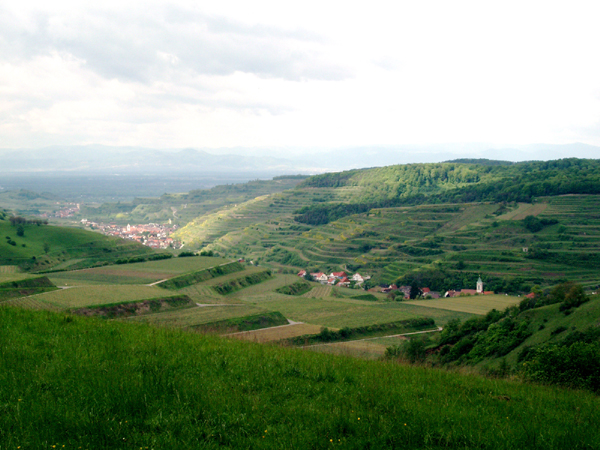 30Vue sur Oberbergen