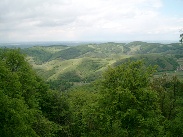 44Panorama