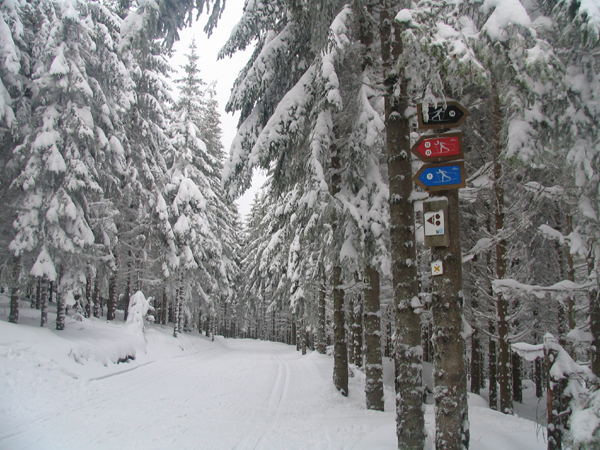 col du bonhomme 010