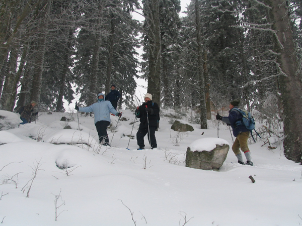 col du bonhomme 038