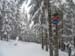 col du bonhomme 010