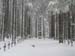 col du bonhomme 026