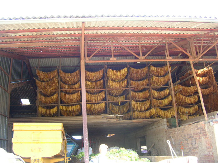 DSCN4846