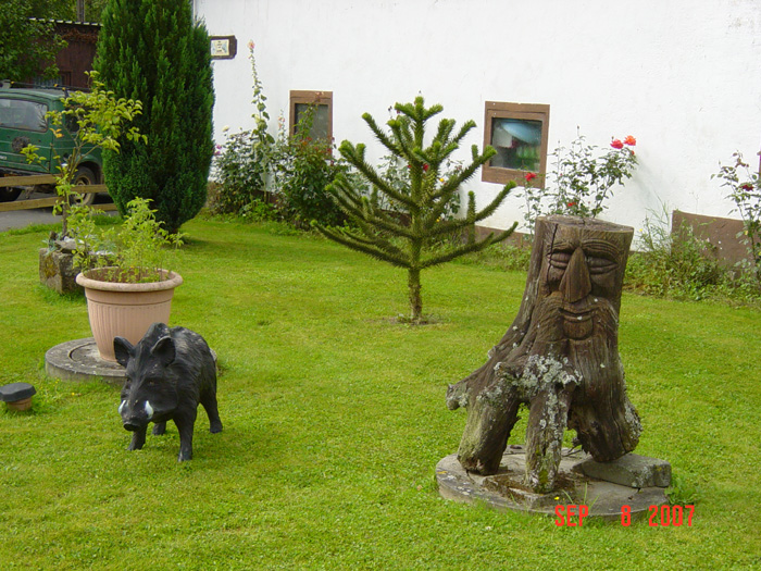 DSC05019