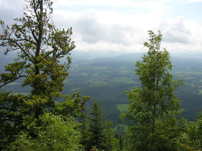 07.Vue du Rocher d'Ormont