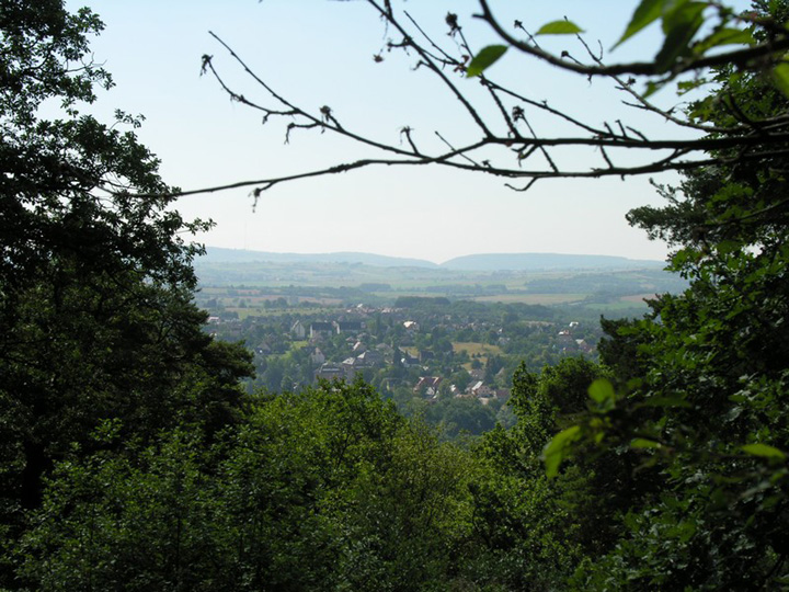 DSCN2810