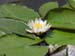 DSCN2822 