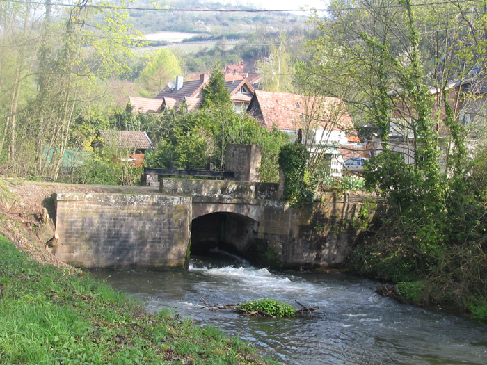 SCHARRACH 003