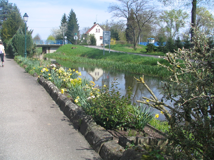 SCHARRACH 021