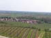 SCHARRACH 017