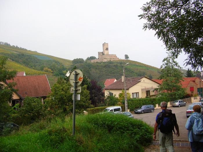 DSCN5014
