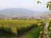 DSCN5019
