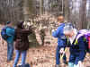 Vosges nord - 4.jpg (150220 octets)